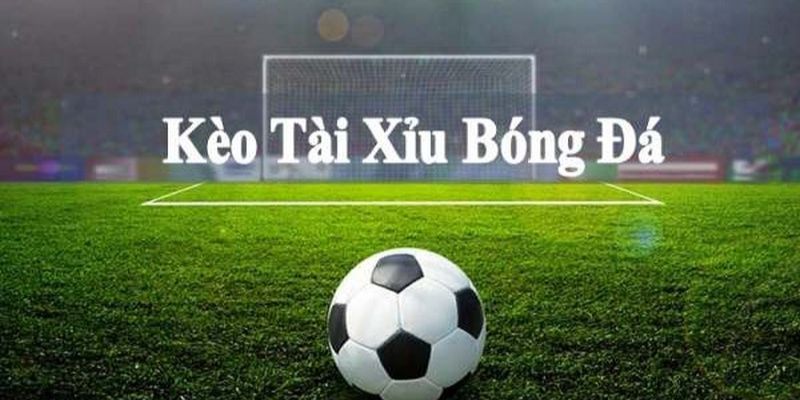 Bật mí tân binh cách đọc kèo